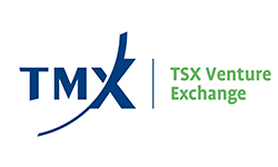 TSX Venture Exchange logo